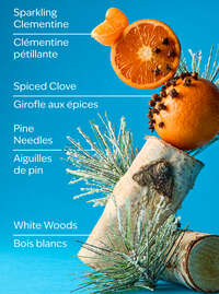 Winter Gentle & Clean Foaming Hand Soap