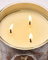 Vanilla Coconut 3-Wick Candle
