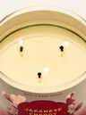 Japanese Cherry Blossom 3-Wick Candle