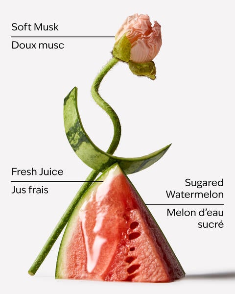 Watermelon Whirl Moisturizing Body Wash