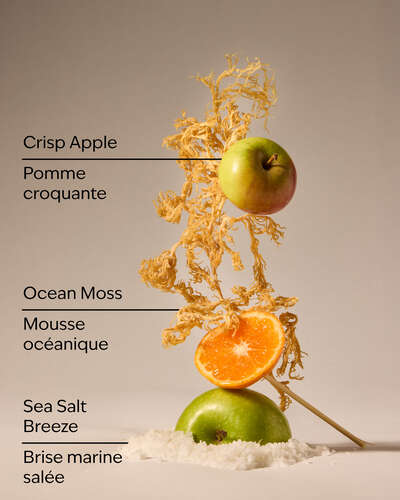 Marine Waves & Citrus Gentle & Clean Foaming Hand Soap