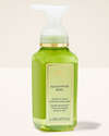 Eucalyptus Mint Gentle & Clean Foaming Hand Soap