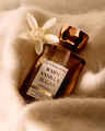 Warm Vanilla Sugar Body Wash