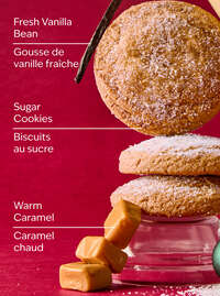 Vanilla Bean Noel Moisturizing Body Wash