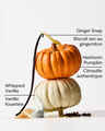 Sweet Cinnamon Pumpkin Gentle & Clean Foaming Hand Soap