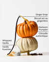 Sweet Cinnamon Pumpkin Gentle & Clean Foaming Hand Soap