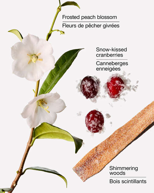 Snowy Peach Berry PocketBac Hand Sanitizer