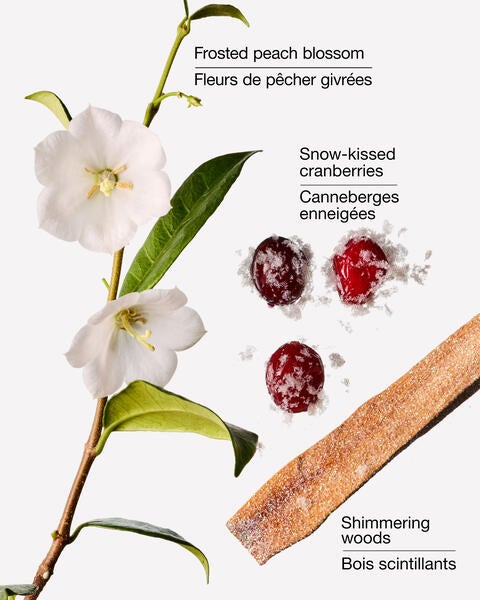 Désinfectant pour les mains PocketBac Snowy Peach Berry