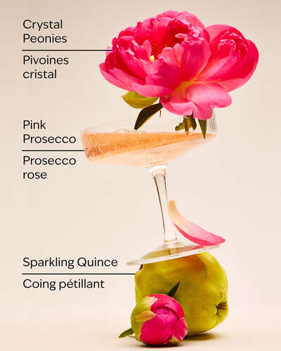 A Thousand Wishes Travel Size Body Lotion