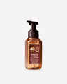 S'mores Cookie Clusters Gentle & Clean Foaming Hand Soap