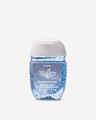 Désinfectant pour les mains PocketBac Winterberry Ice