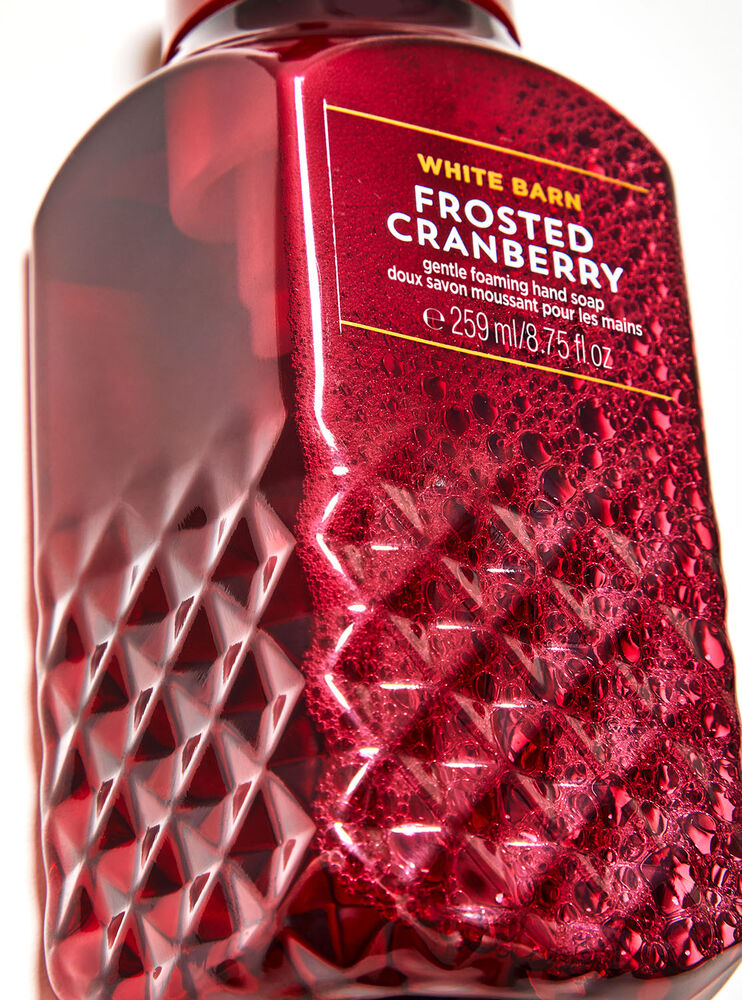 Frosted Cranberry Gentle Foaming Hand Soap Image 2