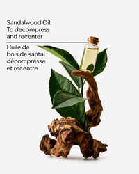 Sandalwood Moisturizing Body Lotion