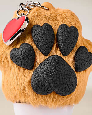 Brown Heart Paw with Charm PocketBac Holder