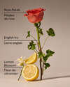 Rose Water & Ivy Wallflowers Fragrance Refill