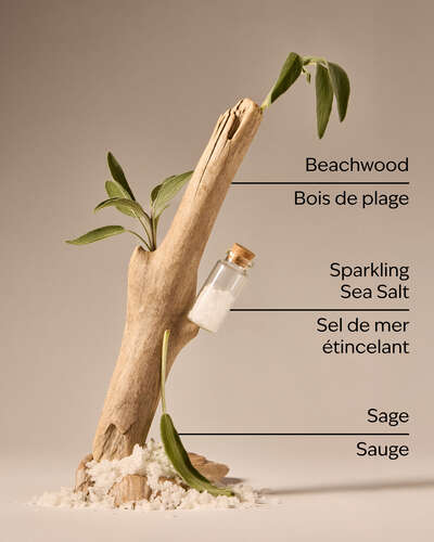 Sea Salt & Beachwood Gentle & Clean Foaming Hand Soap