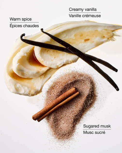 Sugared Snickerdoodle Wallflowers Fragrance Refill