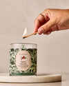 Fresh Balsam Single Wick Candle