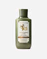 White Pumpkin & Chai Body Lotion