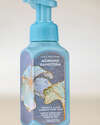 Morning Rainstorm Gentle & Clean Foaming Hand Soap