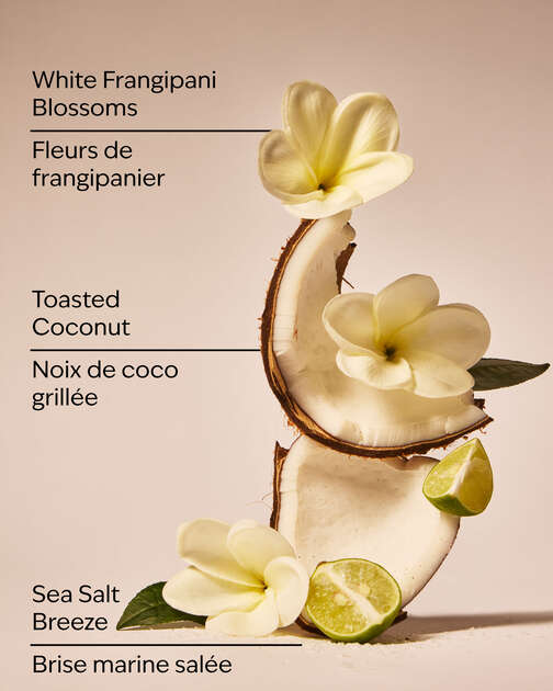 At the Beach Body Lotion