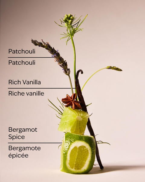 Pain nettoyant au beurre de karité Vanilla Noir