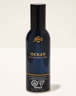 Ocean Concentrated Room Spray