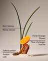 Salted Amber & Vetiver Concentrated Room Spray