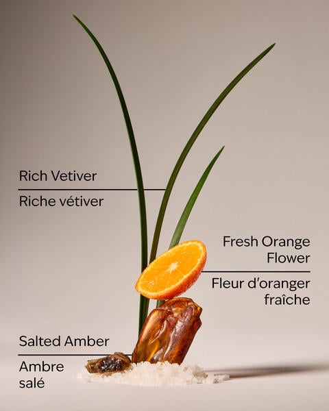 Salted Amber & Vetiver Concentrated Room Spray