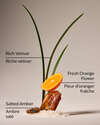 Salted Amber & Vetiver Concentrated Room Spray