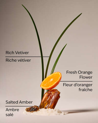 Salted Amber & Vetiver Concentrated Room Spray