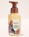 Sunset Citrus Margarita Gentle & Clean Foaming Hand Soap