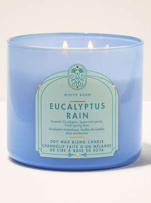 Eucalyptus Rain 3-Wick Candle