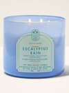 Eucalyptus Rain 3-Wick Candle