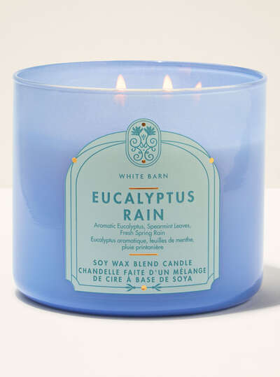 Eucalyptus Rain 3-Wick Candle