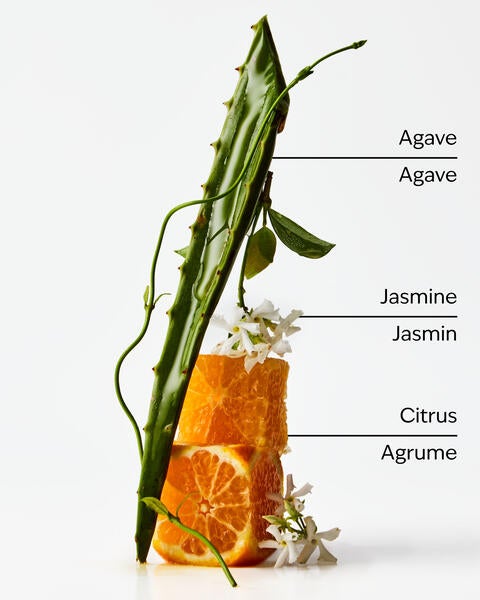 Sweet Orange + Agave Single Wick Candle