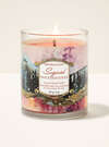 Sugared Snickerdoodle Single Wick Candle