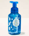 Crystal Blue Coast Gentle & Clean Foaming Hand Soap
