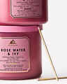 Rose Water & Ivy 3-Wick Candle