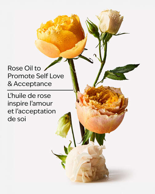 Heirloom Rose Body Wash & Foam Bath
