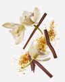 Dreamy Amber Wallflowers Fragrance Refill