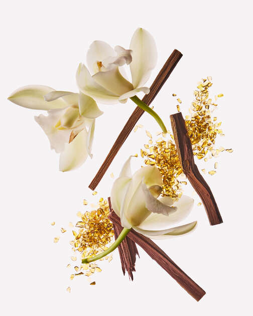 Dreamy Amber Wallflowers Fragrance Refill