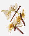 Dreamy Amber Wallflowers Fragrance Refill