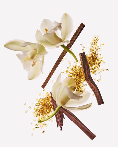 Dreamy Amber Wallflowers Fragrance Refill