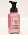 Brown Sugar & Fig Gentle & Clean Foaming Hand Soap