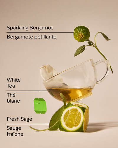 White Tea & Sage Gentle & Clean Foaming Hand Soap