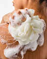 Black Chamomile Body Wash & Foam Bath