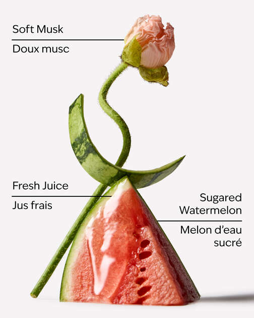 Watermelon Whirl Travel Size Perfume Mist