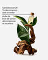 Nettoyant pour le corps et bain moussant Sandalwood