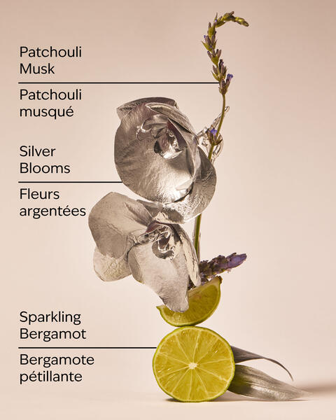 Platinum Fine Fragrance Mist